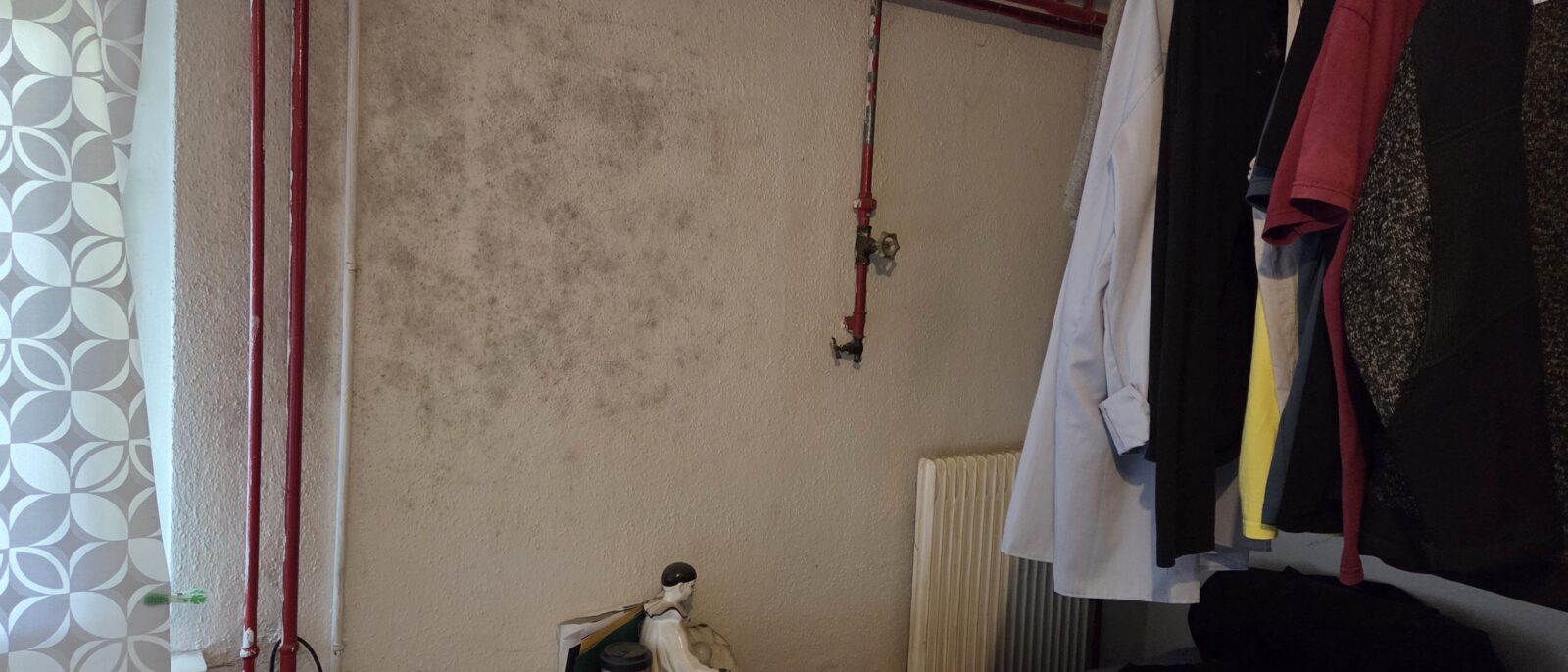 Schimmel zeigt sich oft zuerst durch einen muffigen Geruch, dunkle Punkte in Ecken oder an Fenstern