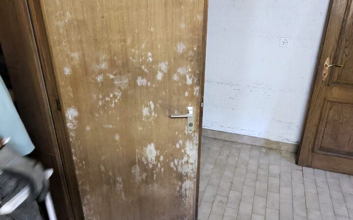 Schimmel im Abstellraum entfernen Sie am besten, indem Sie zuerst die Ursache klären